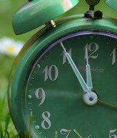 Grüner Retro-Wecker auf einer Wiese zeigt 11:55 Uhr