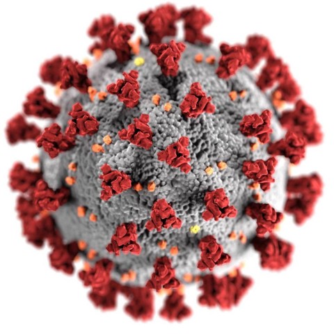 3D-Illustration des Coronavirus SARS-CoV-2 mit roten Spike-Proteinen