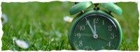Grüner Retro-Wecker auf einer Wiese zeigt 11:55 Uhr