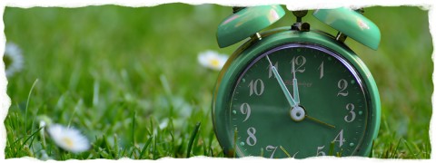 Grüner Retro-Wecker auf einer Wiese zeigt 11:55 Uhr