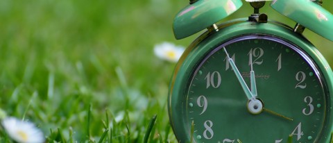 Grüner Retro-Wecker auf einer Wiese zeigt 11:55 Uhr